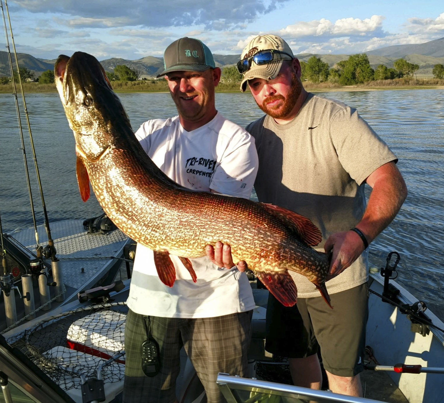 The 34 pound, 47 inch Northern Pike was caught on Canyon Ferry Reservoir.